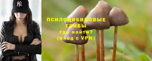 метадон Покачи