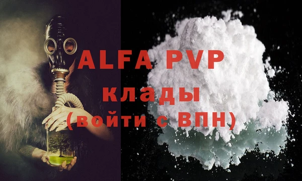 дмт Пересвет